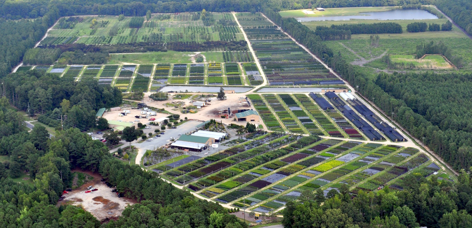 Nursery Fayetteville NC Green Biz Nursery and Landscaping