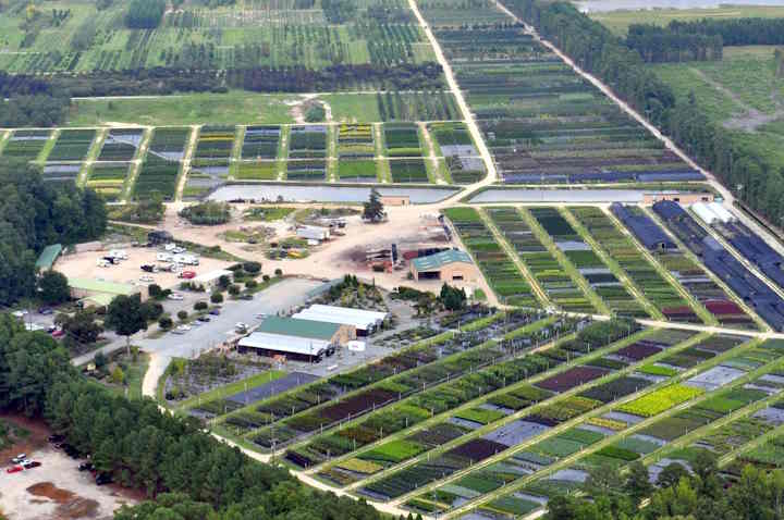 Nursery from the air