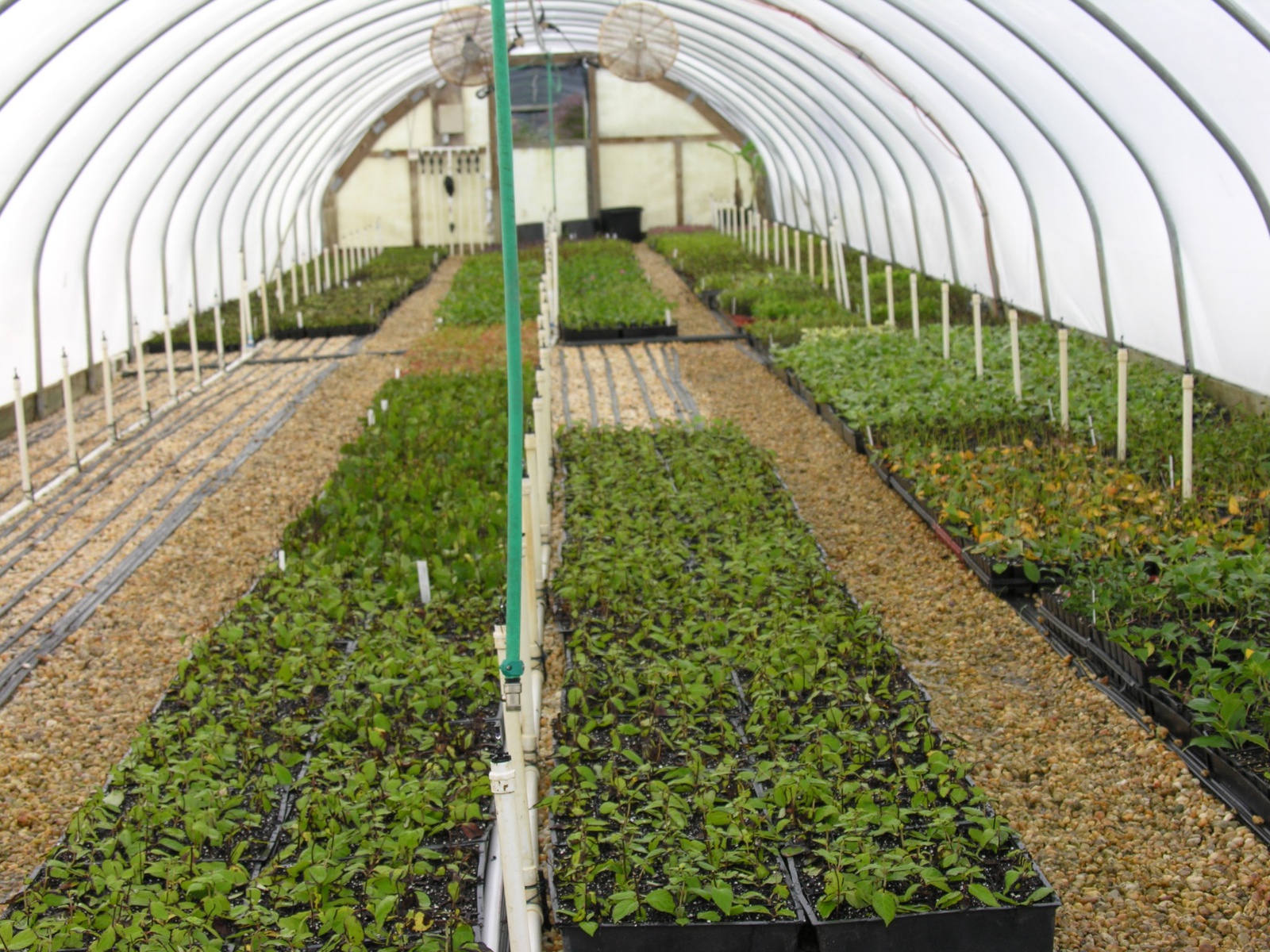 Nursery Fayetteville NC Green Biz Nursery and Landscaping