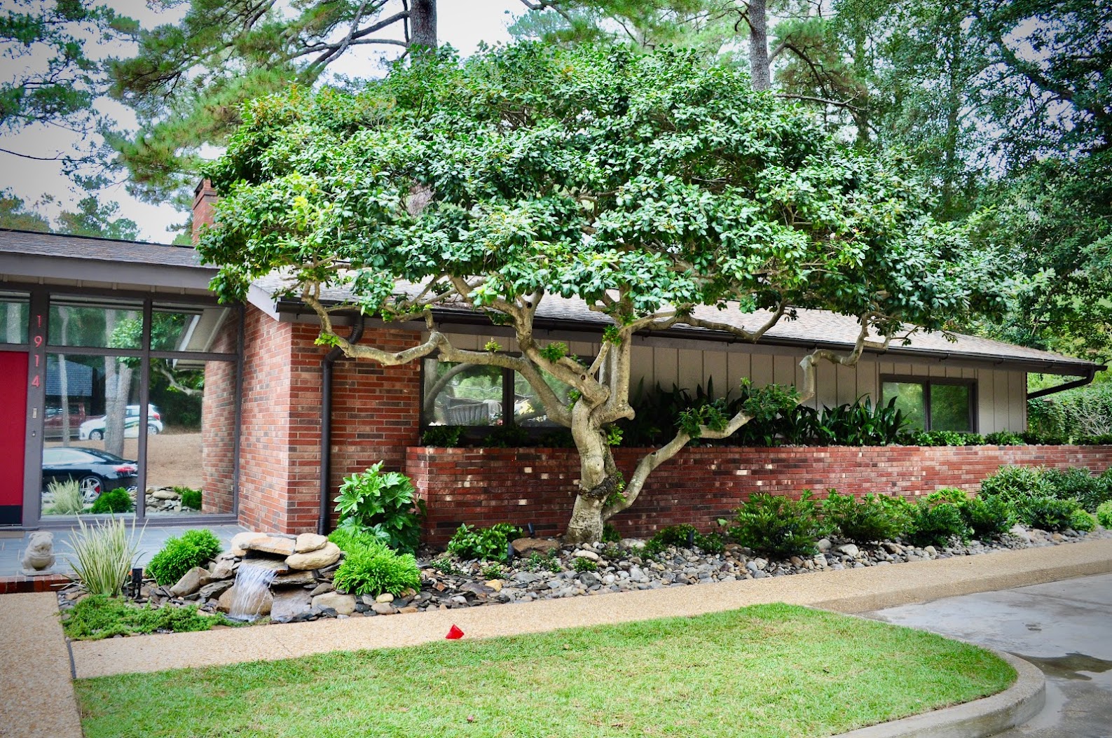 Nursery Fayetteville NC Green Biz Nursery and Landscaping