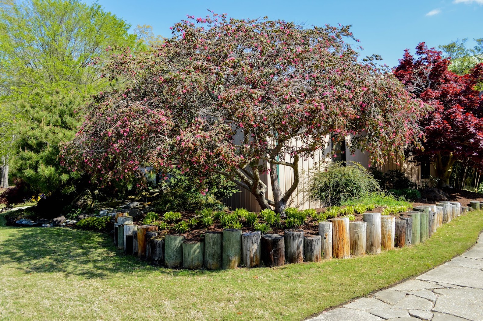 Nursery Fayetteville NC Green Biz Nursery and Landscaping
